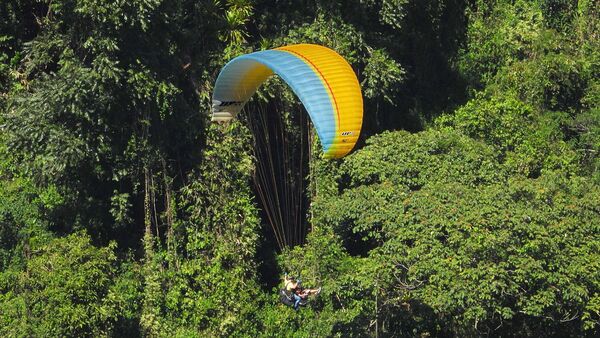 PARAGLIDING OVER GUACAICA JUNGLE MOUNTAIN private tour from Guatape